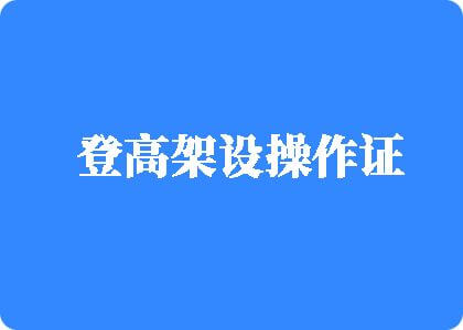 sm操逼视频登高架设操作证